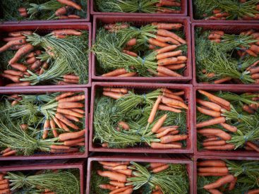 3 Cozy Carrot Recipes To Kick Off Harvest Season From Chef Kathy Gunst