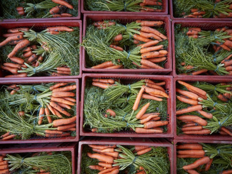 3 Cozy Carrot Recipes To Kick Off Harvest Season From Chef Kathy Gunst