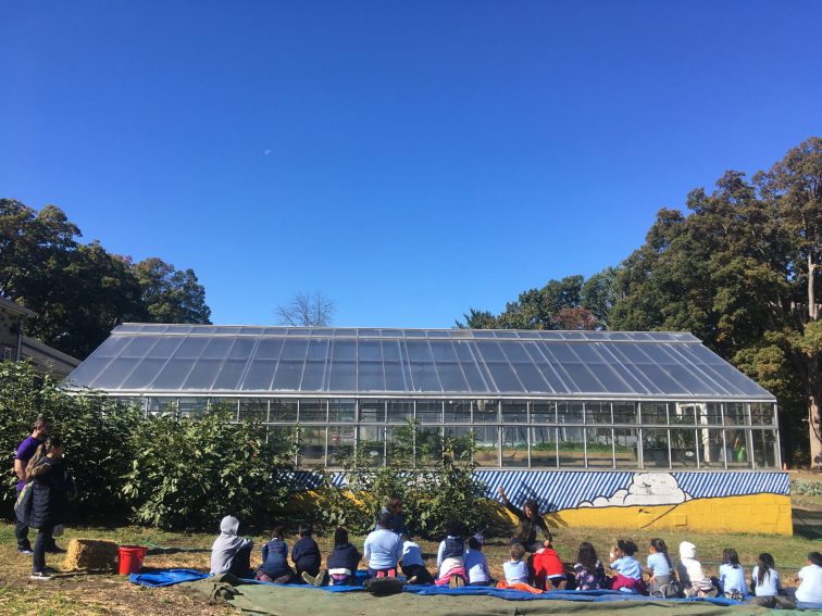 In Baltimore Schools, Cutting Food Waste as a Lesson in Climate Awareness and Environmental Literacy