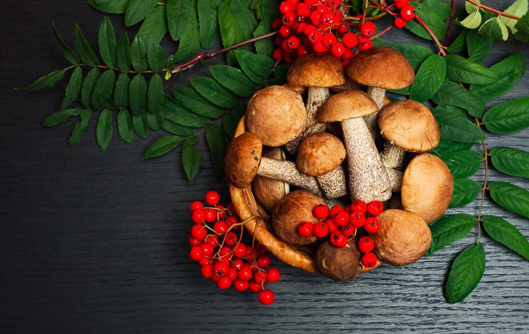 5 traditional Russian mushroom dishes (RECIPES)