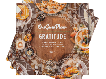 Get Ready For Thanksgiving with One Green Planet’s Third Plant-Based Cookbook Featuring Our Most Festive Recipes!