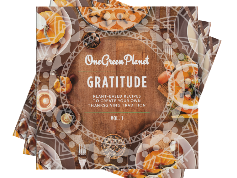 Get Ready For Thanksgiving with One Green Planet’s Third Plant-Based Cookbook Featuring Our Most Festive Recipes!