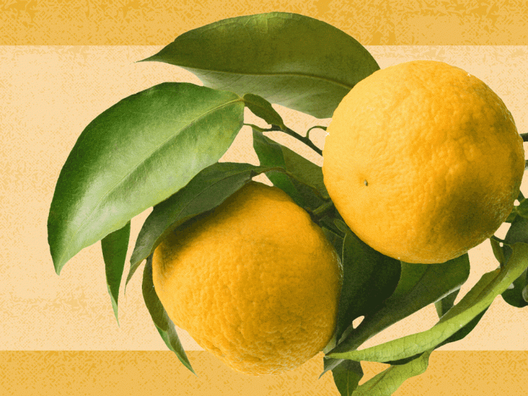 All About Yuzu: Nutrition, Benefits, How to Prepare It, and More