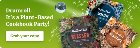 Our Top 10 Budget-Friendly Plant-Based Recipes From November 2021!