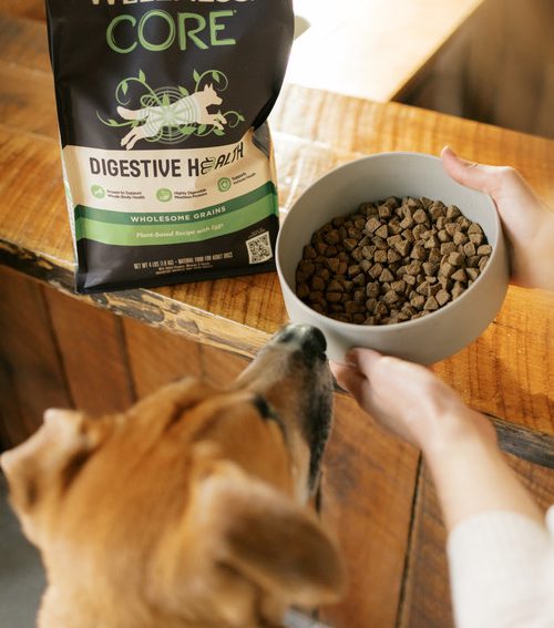 Wellness Pet Company Introduces First Plant-Based Recipes for Dogs that Promote a Shared Life of Wellbeing Together