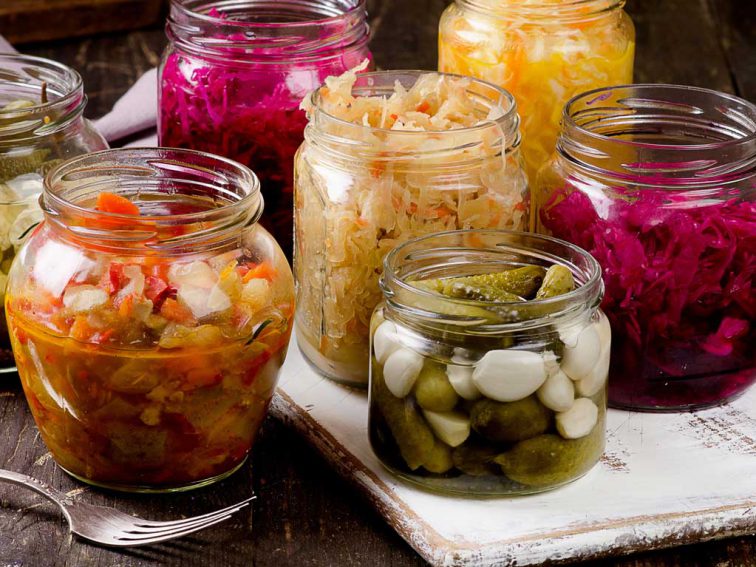 Nutrition Knowledge – Fermented food for the win!