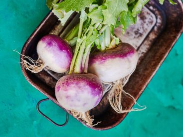 Turnip Benefits and Recipes: Learn All About This Versatile Vegetable