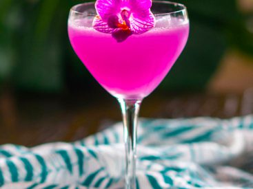16 of the Best Coconut Cocktail Recipes