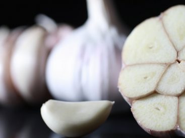 65 Recipes Any Garlic Lover Will Appreciate