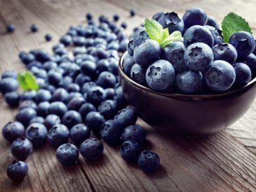 Blueberry Recipes for the Whole Family