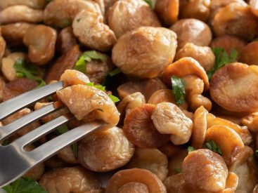 13 Puffball Mushroom Recipes We Can’t Resist