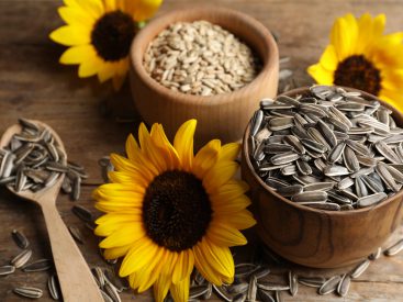15 Sunflower Seed Recipes