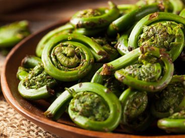 Fiddleheads Recipe With Garlic Lemon Butter: This Fern Is Fabulous