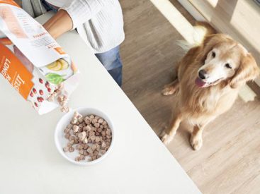 Raw Pet Food Isn’t as Scary as it May Sound