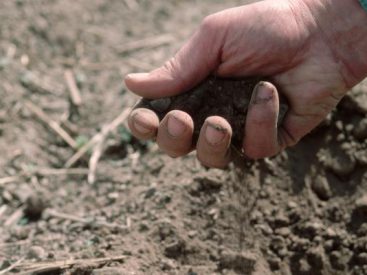 Soil security equals food security