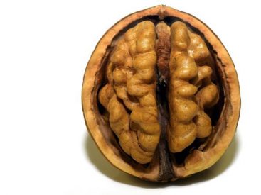 Walnuts the New Brain Food for Stress