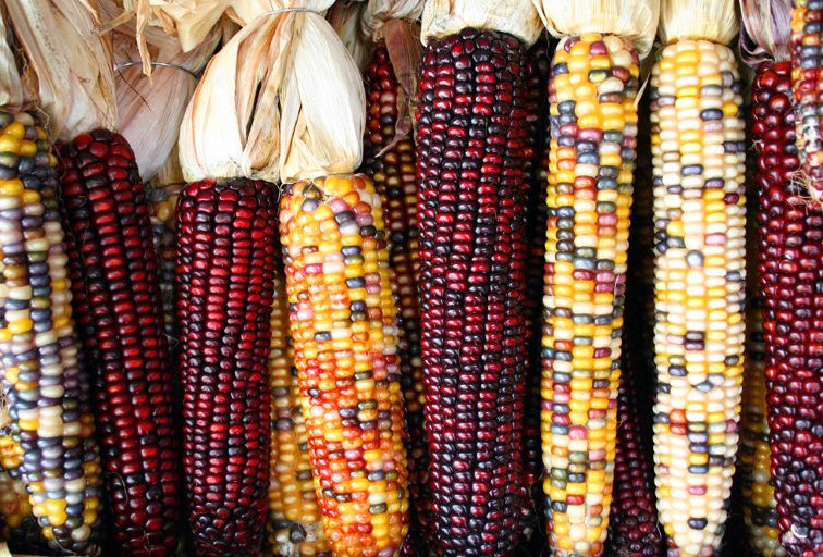 The Indigenous Winter Pantry: Recipes for Today’s Kitchen