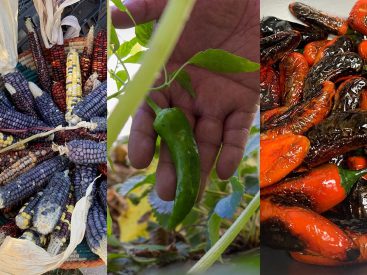 The Indigenous Winter Pantry: Recipes for the Modern Kitchen
