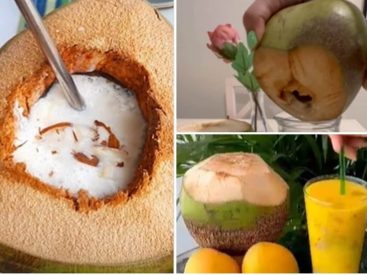 Refreshing coconut water recipes to quench your thirst in summer