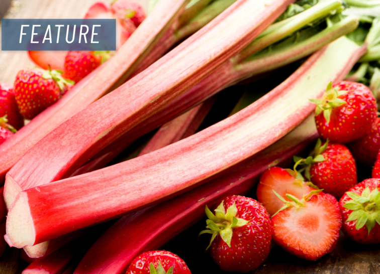 Pies, tarts and crisps, oh my! Get creative with these healthy rhubarb recipes