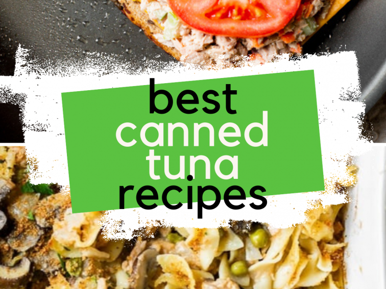 13 Easy Canned Tuna Recipes