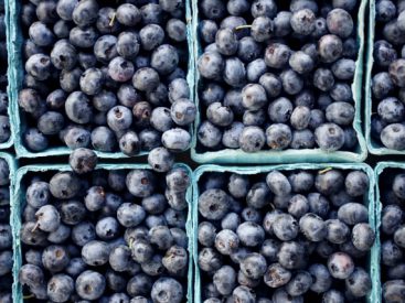 The health benefits of blueberries — and why you should eat them after a workout