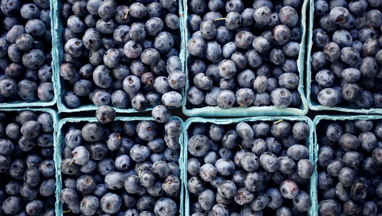 The health benefits of blueberries — and why you should eat them after a workout