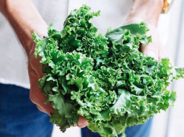 5 Best Kale Recipes To Reap In Its Health Benefits And Great Taste