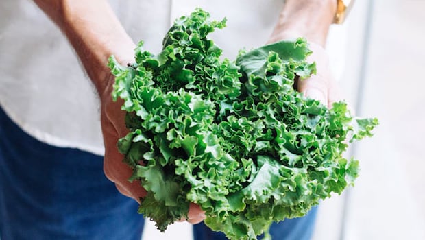 5 Best Kale Recipes To Reap In Its Health Benefits And Great Taste