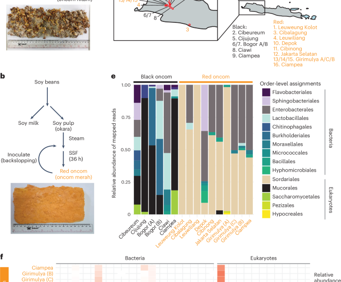 Neurospora intermedia from a traditional fermented food enables waste-to-food conversion