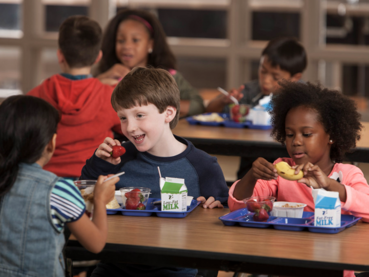 The Back to School Lunch Guide, From Allergy-Friendly Snacks to Vegan Recipes