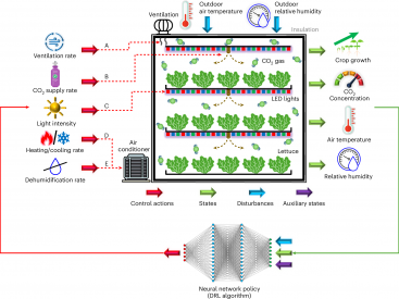 Artificial intelligence can regulate light and climate systems to reduce energy use in plant factories and support sustainable food production