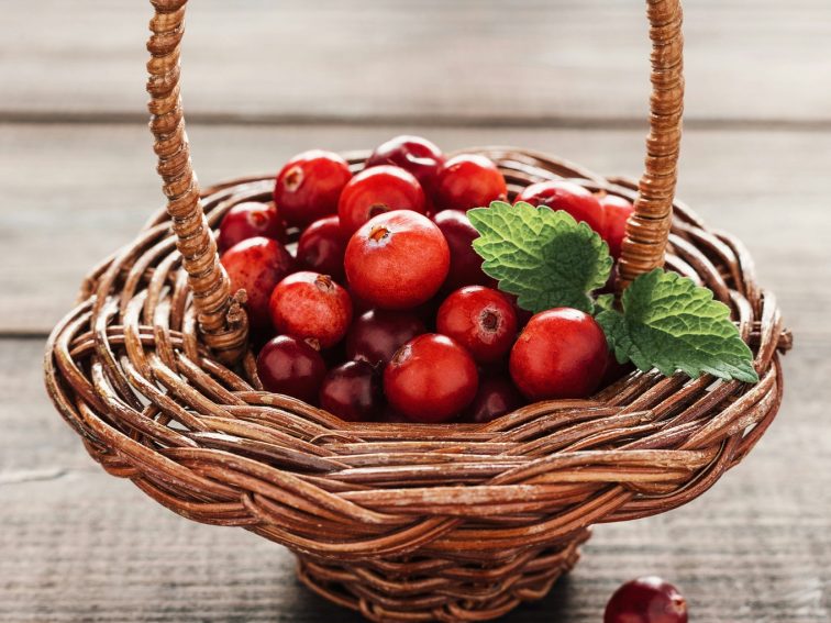 Cranberries are Good for Your Heart, Gut, and Brain: Eat More With These 6 Recipes